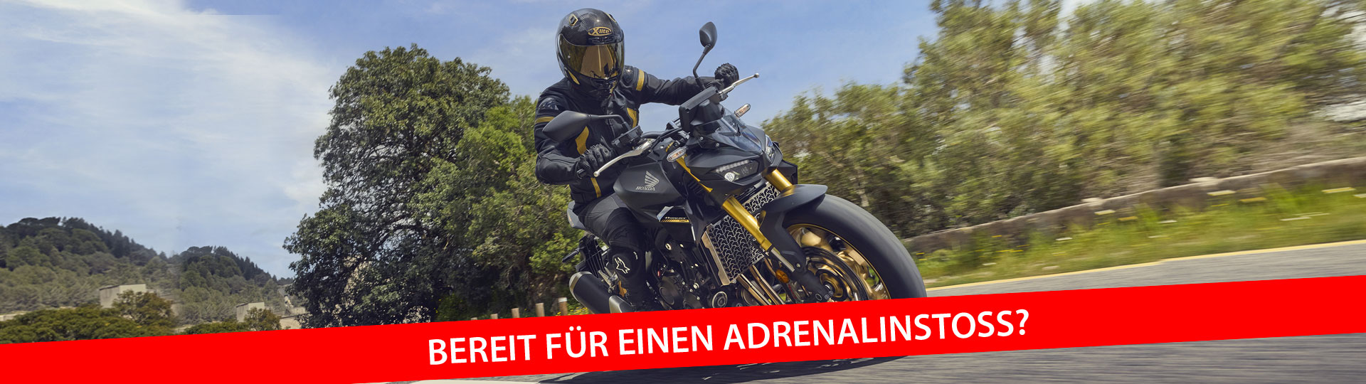 BESTELLE DEINE HORNET1000 VOR!